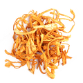 Cordyceps