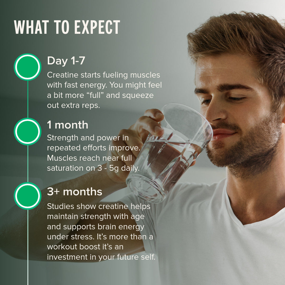 Vegan Creatine Monohydrate Supplement | Vivo Life – Vivo Life EU